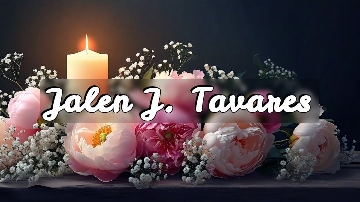 Jalen J. Tavares, Dorchester, Boston