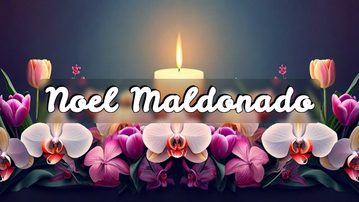 Noel Maldonado